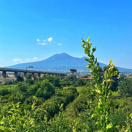 Santa Maria La Carità La Penisola B&B 외부 사진