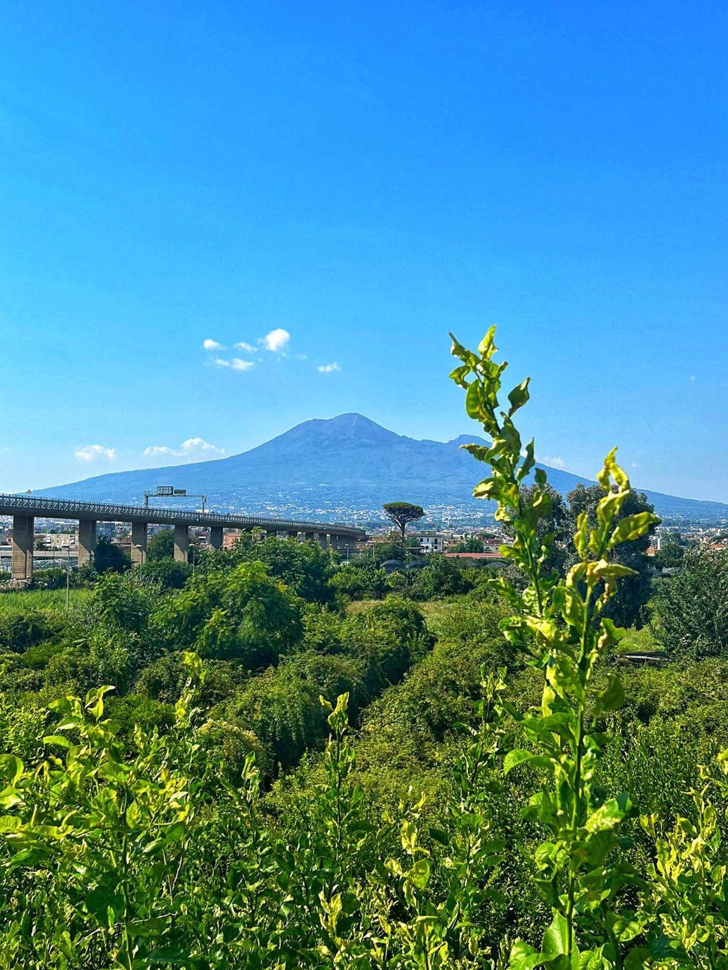 Santa Maria La Carità La Penisola B&B 외부 사진